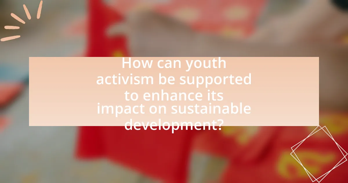 How can youth activism be supported to enhance its impact on sustainable development?