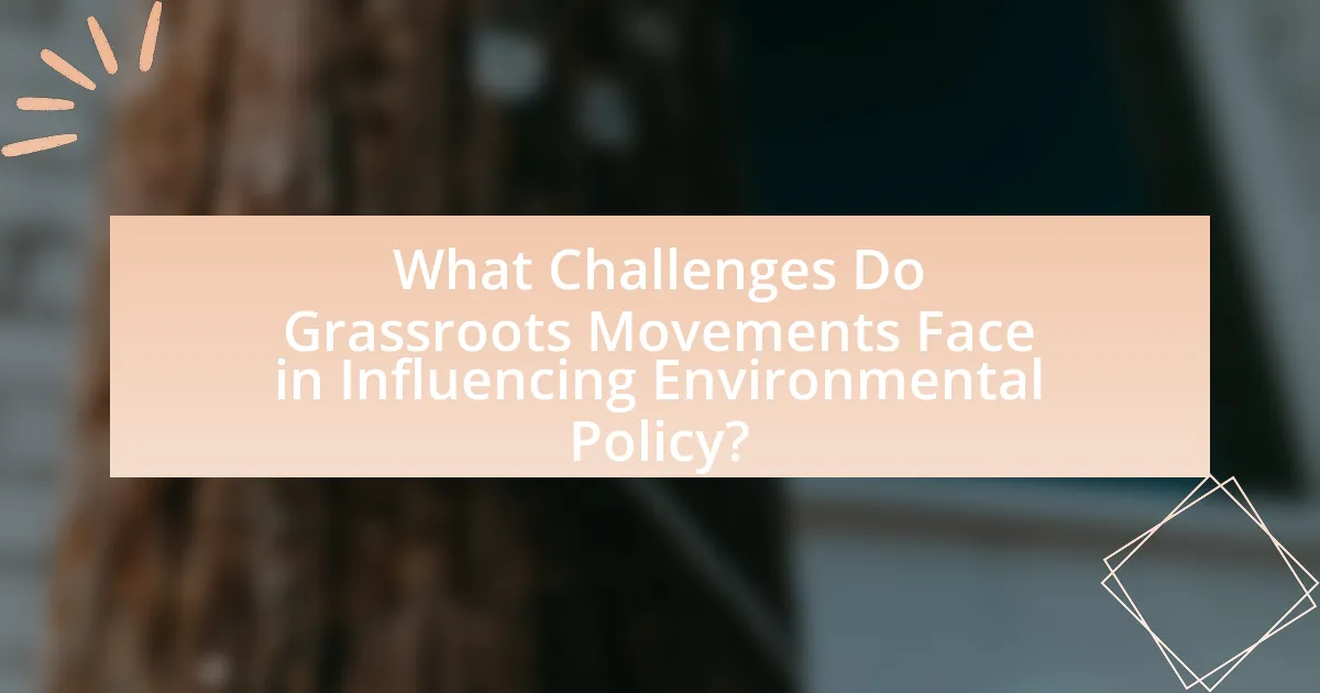 What Challenges Do Grassroots Movements Face in Influencing Environmental Policy?