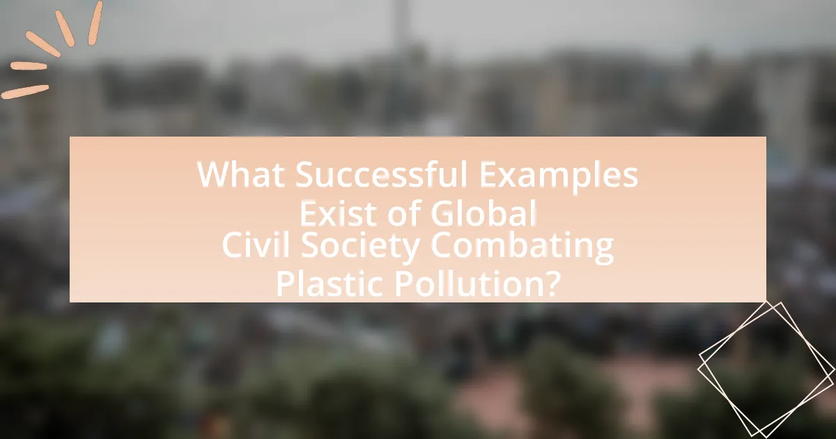 What Successful Examples Exist of Global Civil Society Combating Plastic Pollution?