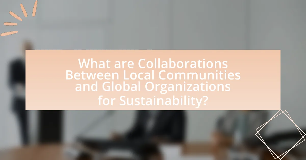 What are Collaborations Between Local Communities and Global Organizations for Sustainability?