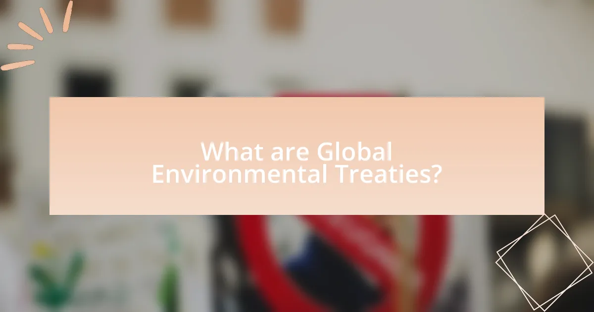 What are Global Environmental Treaties?