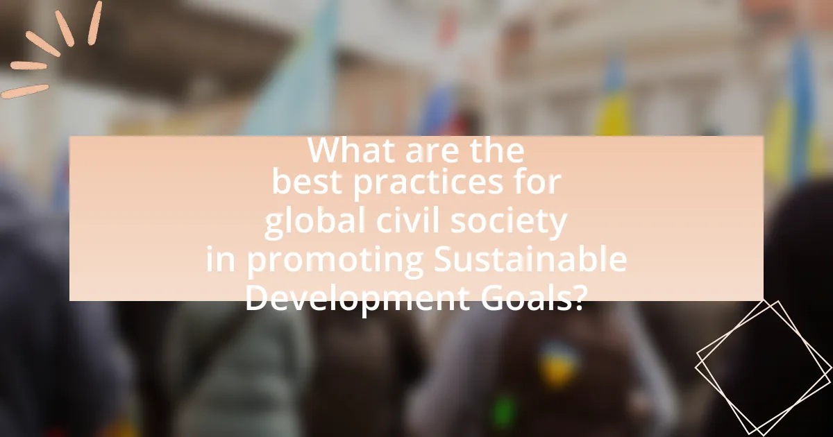 What are the best practices for global civil society in promoting Sustainable Development Goals?