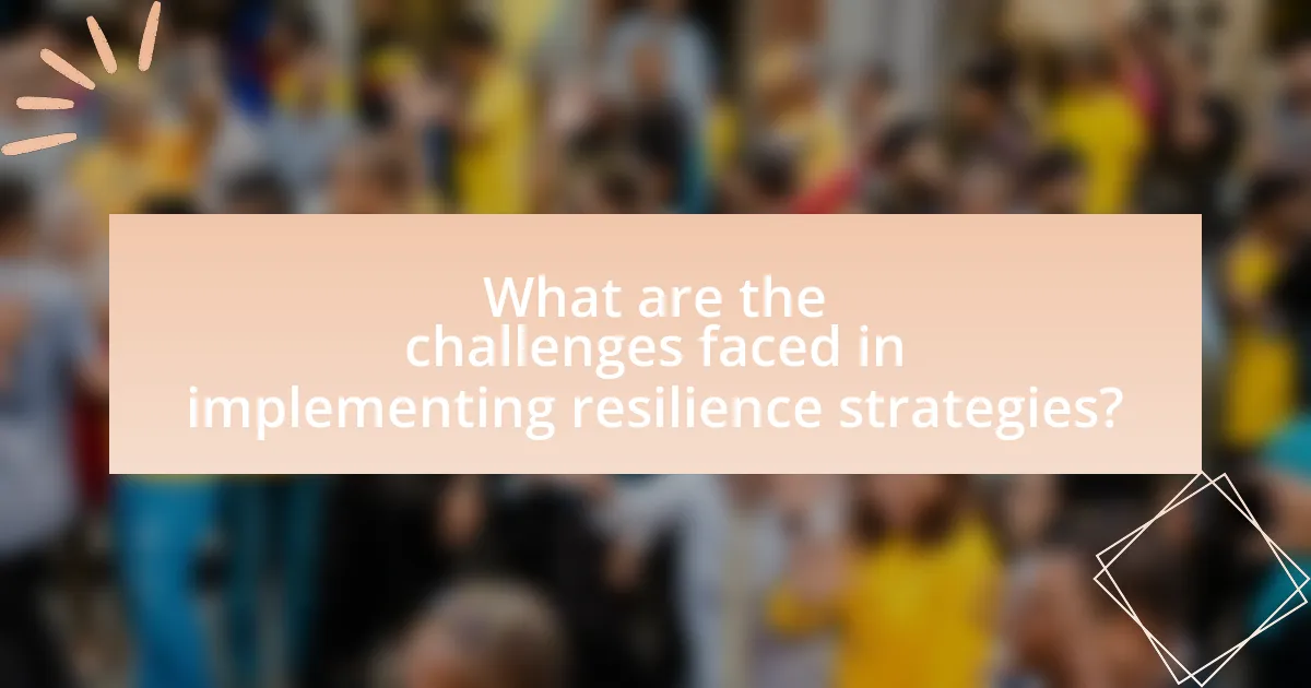 What are the challenges faced in implementing resilience strategies?