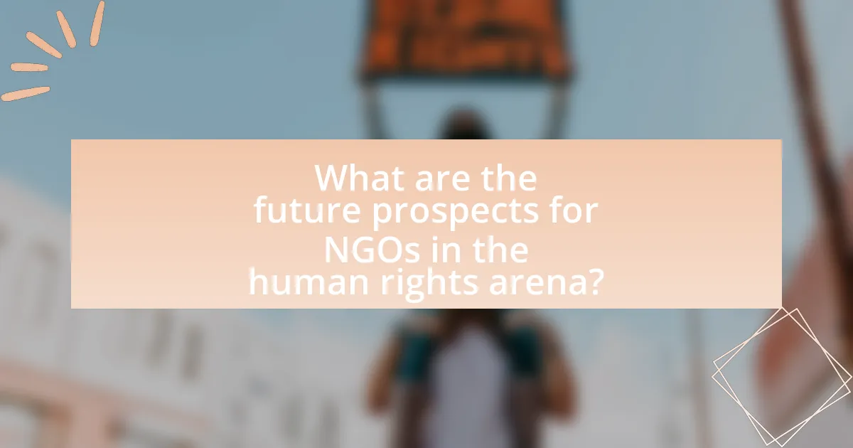 What are the future prospects for NGOs in the human rights arena?