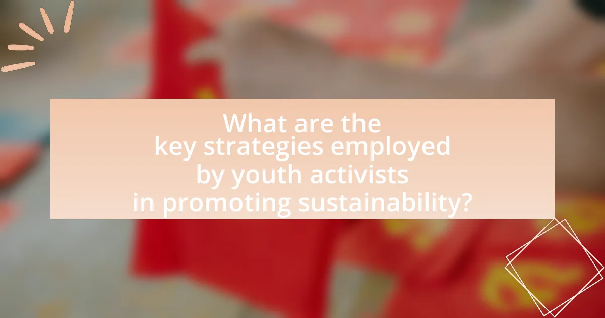 What are the key strategies employed by youth activists in promoting sustainability?