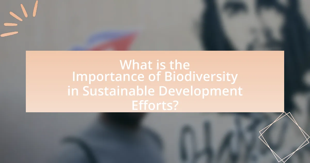 What is the Importance of Biodiversity in Sustainable Development Efforts?