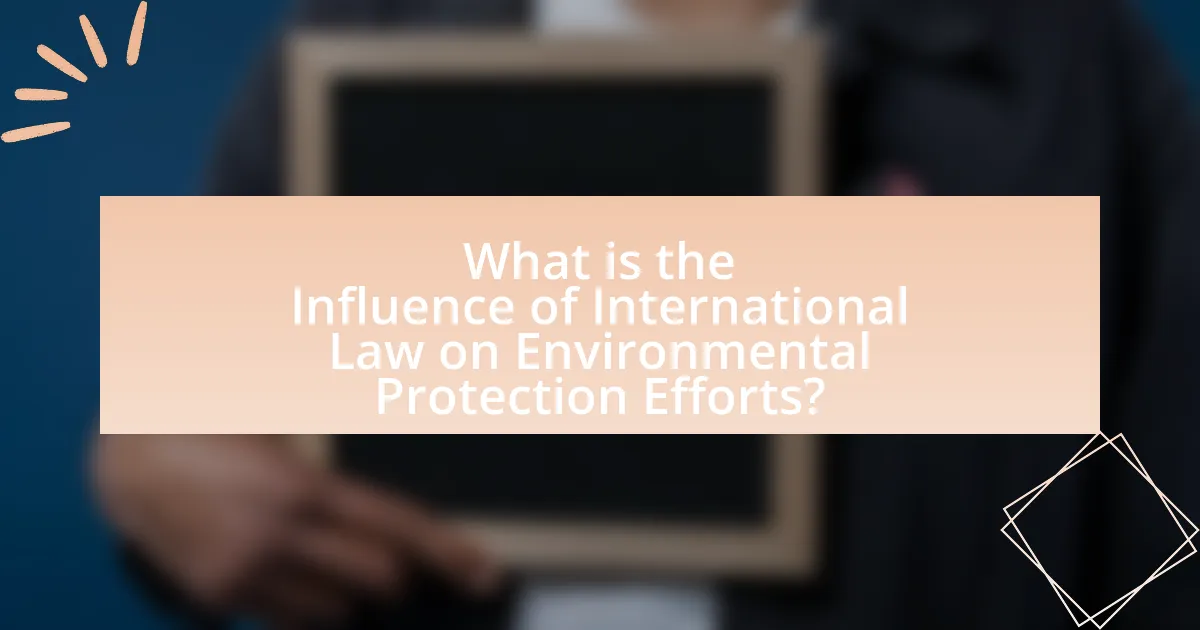 What is the Influence of International Law on Environmental Protection Efforts?