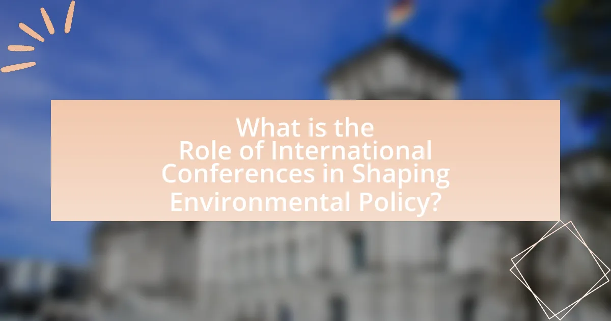 What is the Role of International Conferences in Shaping Environmental Policy?