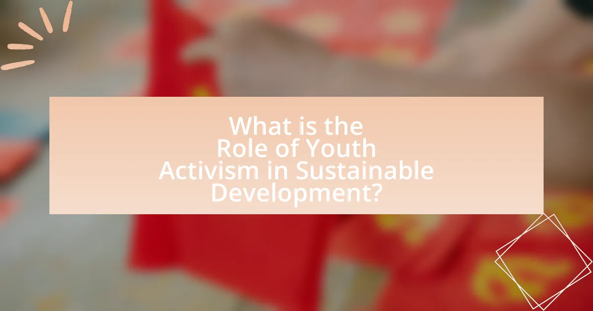 What is the Role of Youth Activism in Sustainable Development?